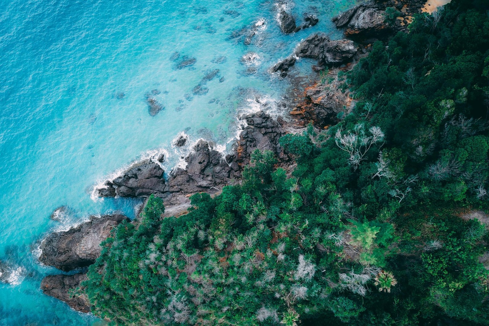 Louer son bien à grand baie : maximiser la rentabilité grâce à une gestion locative efficace